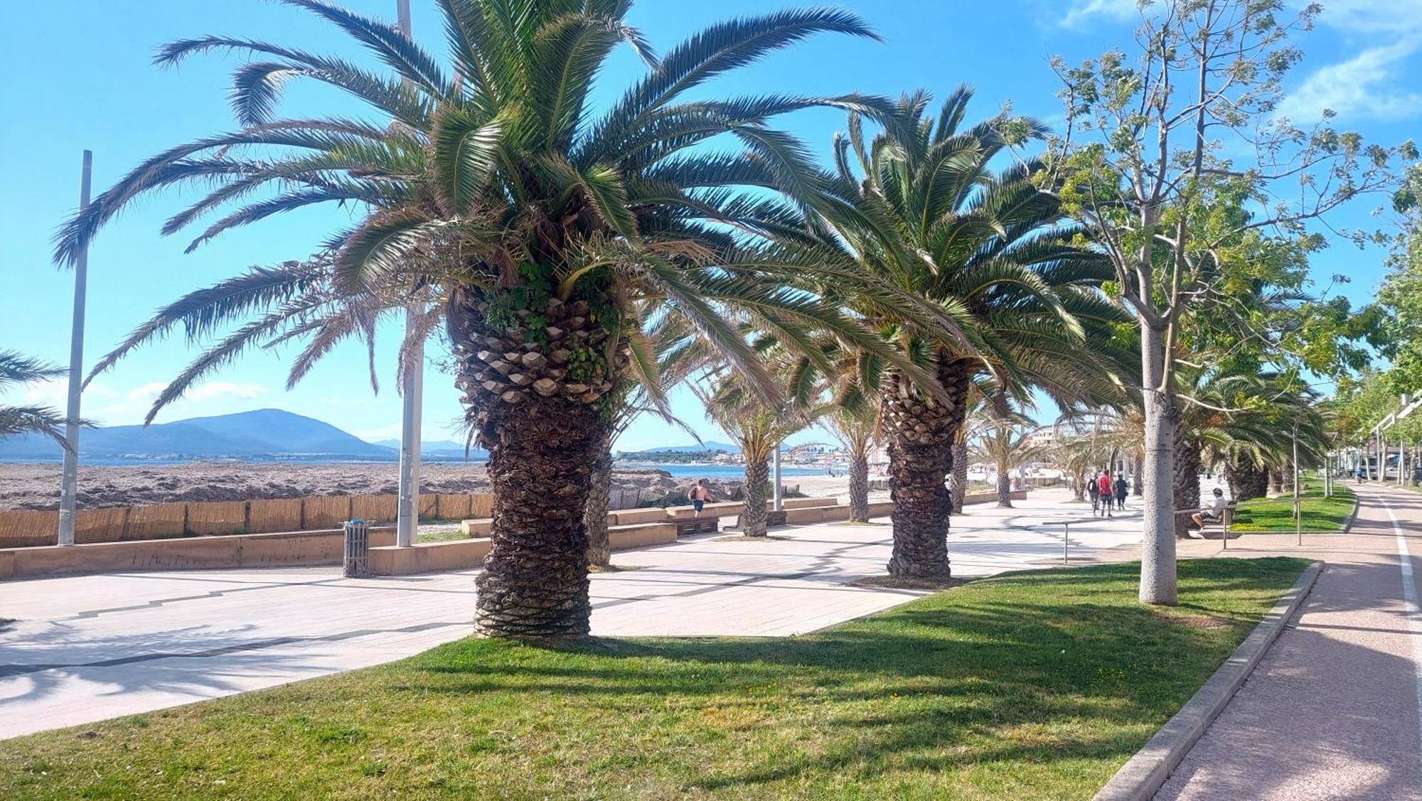 Lovealghero Stanze In Attico Vista Mare Kültér fotó
